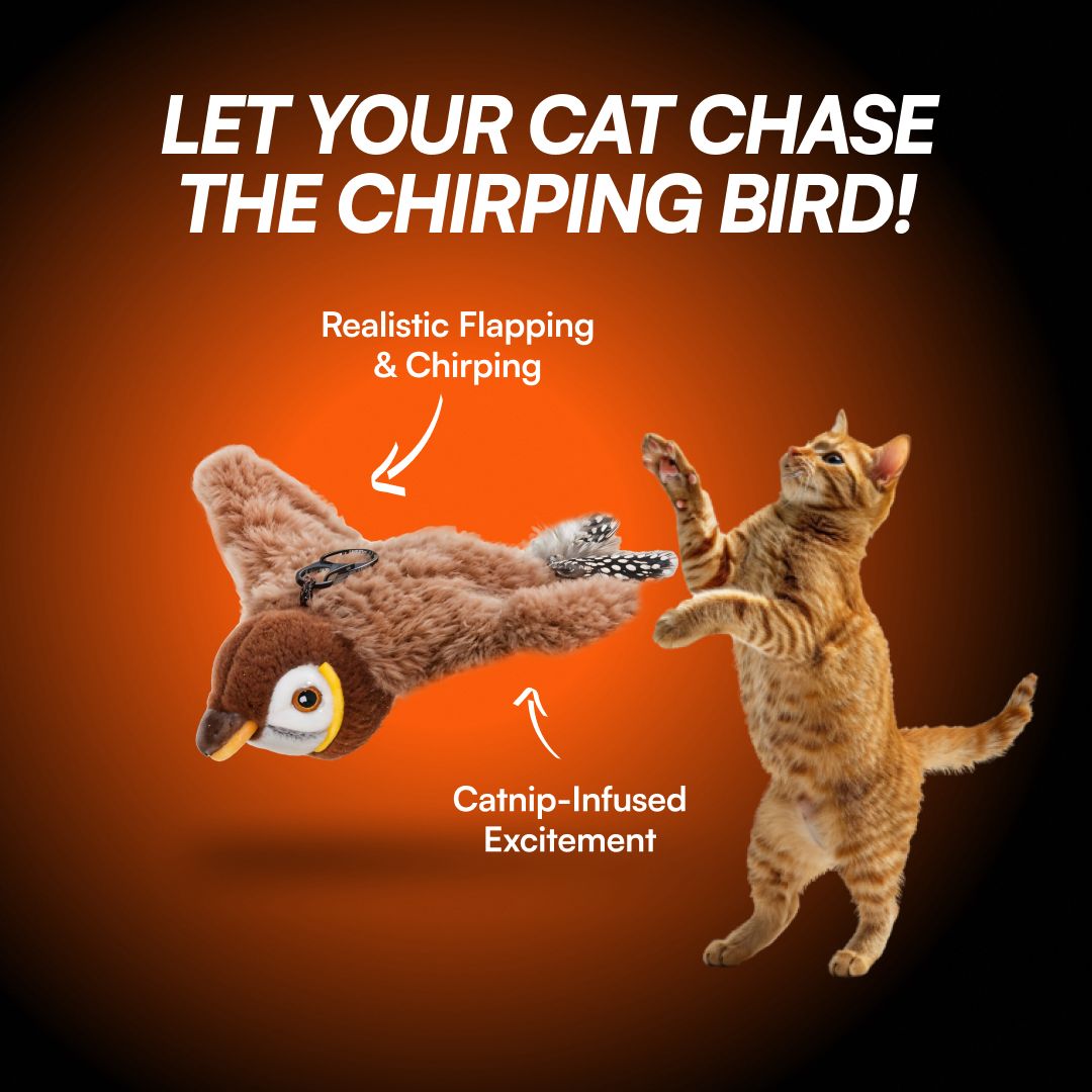 Flying Bird Cat Toy™